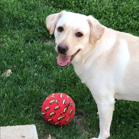 Meet your Posher, Laura - Picture 6 of 8